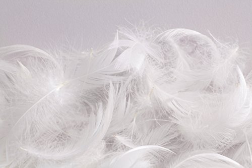 Pillows & Fibers 10/90" Feather Insert Bed Pillow, 1 Count (Pack Of 1), White #TOP1