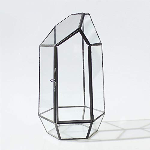 Terrario geometrico