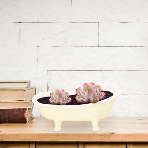 Pot à fleurs pour succulente et cactus, jardinière compacte de balcon - 4