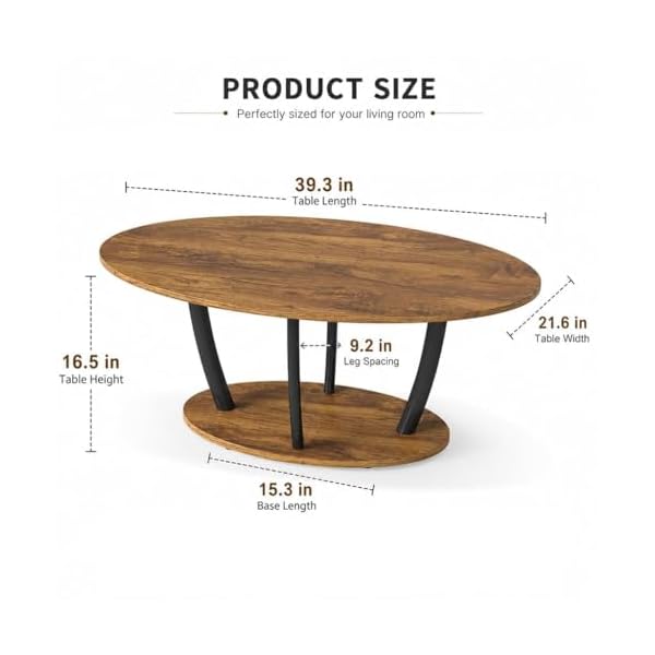 Manora Table Basse de Salon, Table de Salon Ovale avec 2 Niveaux de Rangement, Style Moderne en Bois et Métal Noir, Table de Café Stable pour Salon, Chambre, Bureau