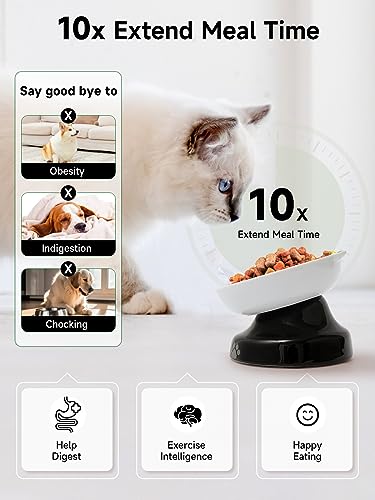 Y YHY Slow Feeder, Elevated Food Bowl Tilted Design for Dog and Cat for Dry and Wet Food - Image 3
