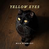 Mild Black Cat