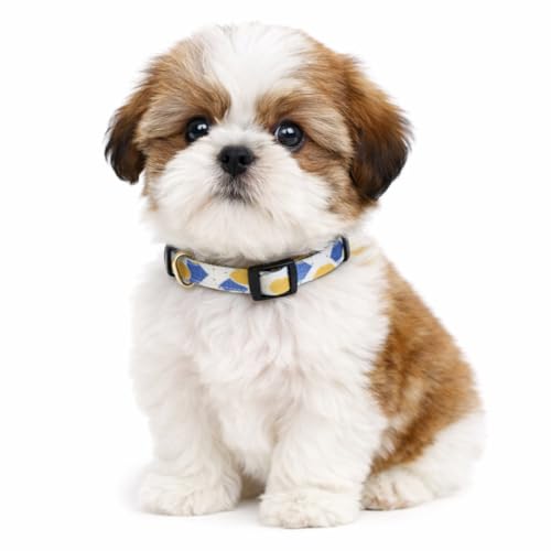 Image of Emily Pets Cat Collar Breakaway for Cats, Boy & Girl Cat Collars Kitten Collar Break Away Collar for Cats - Breakaway Cat Collar (Color May Vary, 1 Piece)