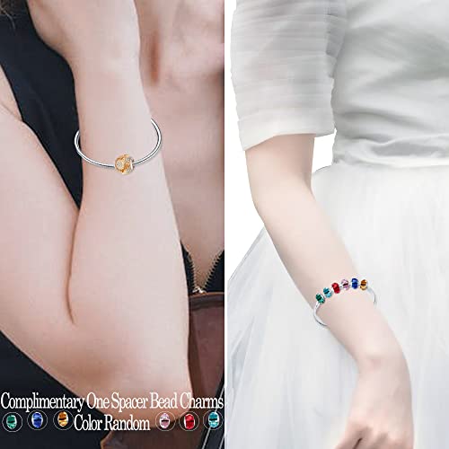 LNQOBU Happy Life Pendant Charm Bead Fits for Charm Bracelets - 925 Sterling Silver Dangle Pendant Bead for Woman(With one Spacer Beads Charms)4