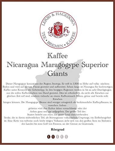 Nicaragua Maragogype Superior Giants Kaffee 1kg