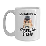 BeeTeeStore Cat Lover Coffee Mug - Underestimate Me That'll Be Fun Sarcastic Design - 11oz White Ceramic Tea Cup for National Cat Day, Pet Month, and Pet Lover Gifts