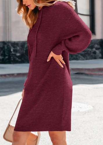 PRETTYGARDEN Womens Fall Sweater Dress Casual Long Sleeve Chunky Knit Pullover Oversized Hoodie Tunic Sweaters Winter Clothes