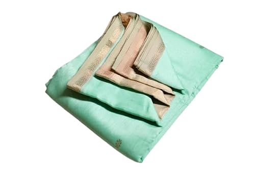 RAJVANI The Voice Of Royalty pista green chanderi silk saree – image 3