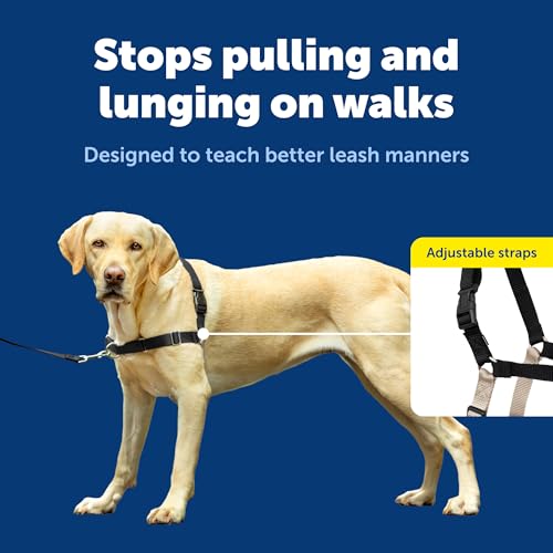 PetSafe Easy Walk No-Pull Dog Harness - Ultimate Harness to Help Stop Pulling - Pull-Free Walks - Take Control & Teach Better Leash Manners - Patented Martingale Loop Design - Black, Large by PetSafe - Image 4