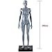BONEW 27CM Height Female Anatomical Anatomy Skull Head Body Muscle Bone Model US Stock