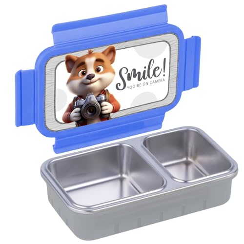 Image of Aliensware 4D Bento Kids Lunch Box with 2 Compartment, Microwave-Safe BPA Free Advance Coating Stainless Steel Kids Lunch Box, Food Grade Tiffin Box for School, College, Picnic, office-500ml(MB03-BLU)