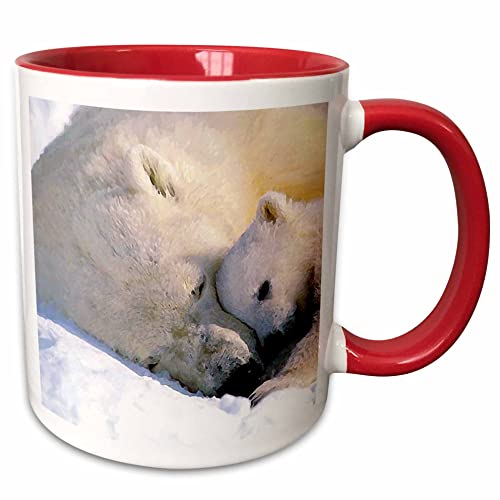3dRose Wild Animals - Polar Bear and Cub 15oz Two-Tone Red Mug