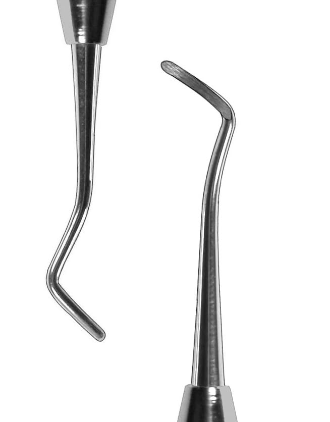 1/Pcs Dental Excavator #31L Double-Ended Silk Handle Premier Stainless Steel Professional Instrument