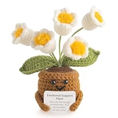 White Lily of the Valley