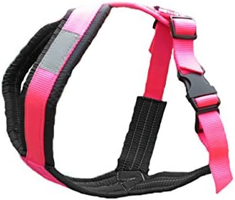 canadog harness