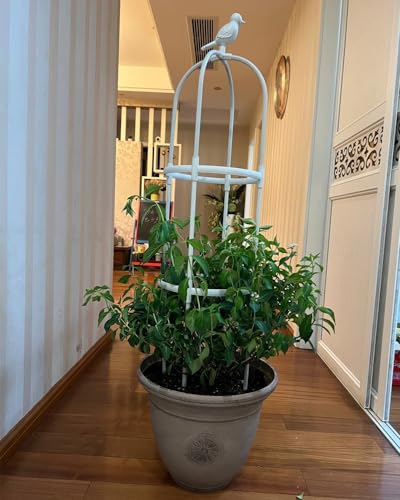Treillis de jardin en métal pour plantes grimpantes fleurs vignes - 5