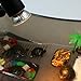 TKOWTB 10PCS Reptile Lamp Bulb Turtle Basking UV Light Bulbs Heating Light Full Spectrum Sunlamp for Amphibians,50W