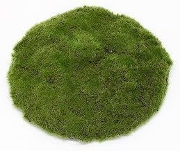 Artificial Moss, Display Base or Pot Topper, 8-inch Round