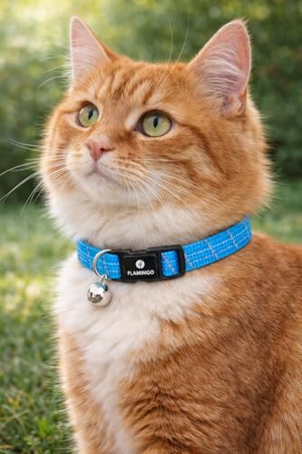 Collar Gato - Elza Azul 20–34 cm – Nylon elástico Reflectante con Cascabel