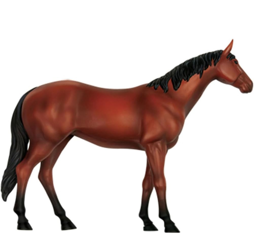 Genérico Modelo 4D de anatomía de caballo - Esqueleto de animal, biología desmontable, 26 piezas para clínica veterinaria de mascotas FormaciónEnseñanza escolar