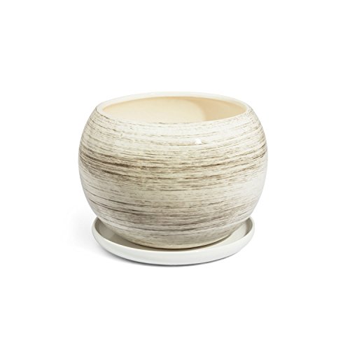 Pot de Fleur ceramique Globe avec Soucoupe Support Hauteur 10.5 cm diametre 11 cm Couleur de Beton Gris Claire Cover