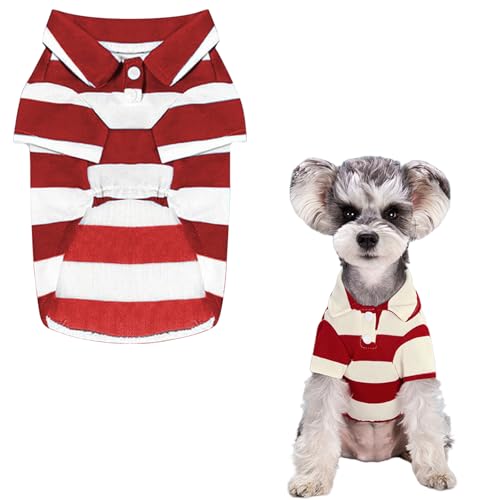  Vc t  Vv XgCv ̕  ^ ^ L |GXe   m ʋC  ybg hbOEFA ̕  TVc  U o (, XL)