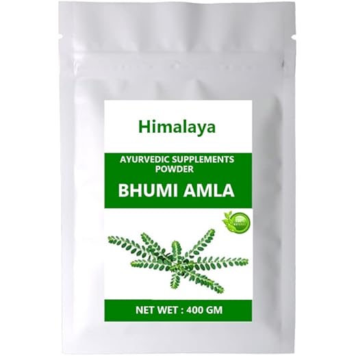 Greeneland Bhumi Amla Powder 400g