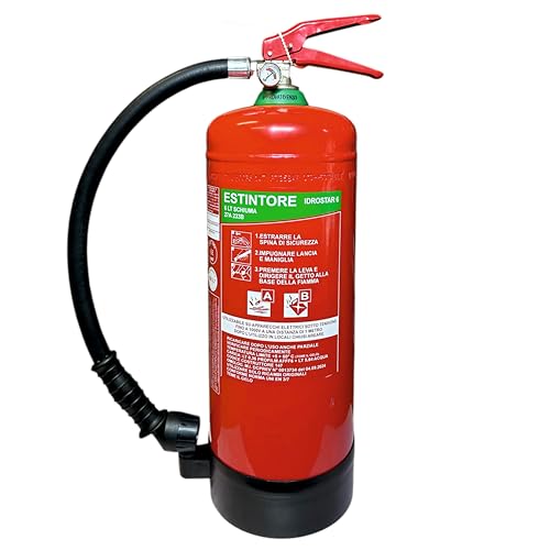 Estintore A Schiuma LT 6