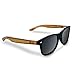 Bamboo Sunglasses - 100% Polarized Wood Shades for Men & Women from the "50/50" Collection (Brown, 0)