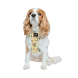Sassy Woof Dog Adjustable Harness - Disney Princess Beauty and The Beast Belle - S, Breathable Mesh, No Pull Design with Two D-Rings, Perfect for Medium Dogs - Officially Licensed