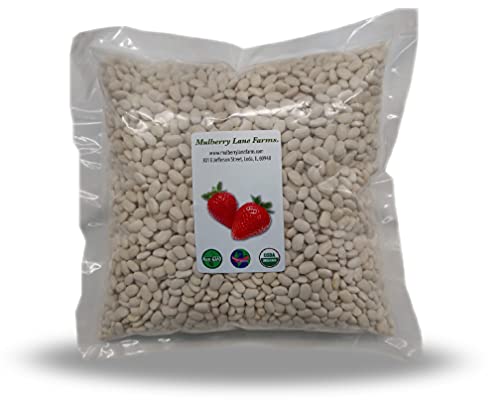 Great Northern Beans, 5 Pounds Usda Certified Organic, Non-Gmo, Dried, Bulk, Product Of Usa , Mulberry Lane Farms #TOP22