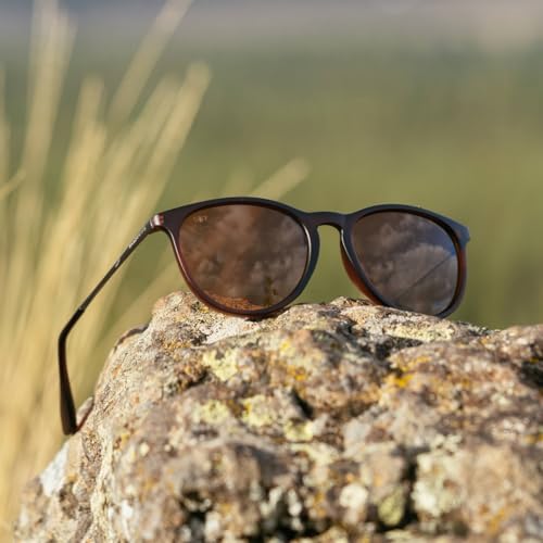 Image of Shady Rays Allure - Lightweight Womens Sunglasses with Polarized Lenses