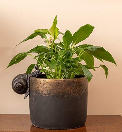 Pot Buddies Handmade Snail Figure Plant Pot Hanger - Decorative Hanging Garden Ornament - Flower Planter Figurine