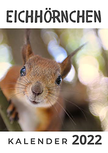 Eichhörnchen: Kalender 2022