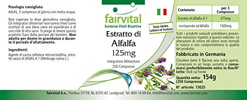 fairvital Alfalfa Tabletten, 250 Tabletten, 125mg Alfalfa-Extrakt pro Tablette, Medicago sativa (Luzerne), VEGAN