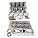 LINGYUE TD27 TD27T Engine Rebuild Kit with Valves Compatible for Nissan TCM Forklift D21 D22 Bearing(Combination 2)
