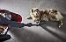 Rowenta RH9878 X-FORCE 11.60 Aspirapolvere Senza Fili Potente con Kit Animal Care,...