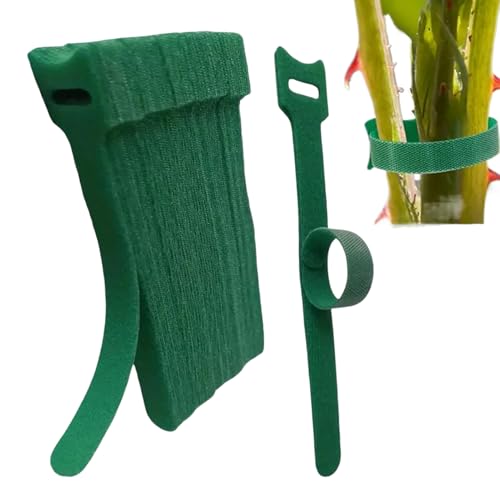 vgXgbv | 20 O[iC AT|[gt@Xi[ - \Ȏ}^C |  O  gX _ g}g uhE  LE  p