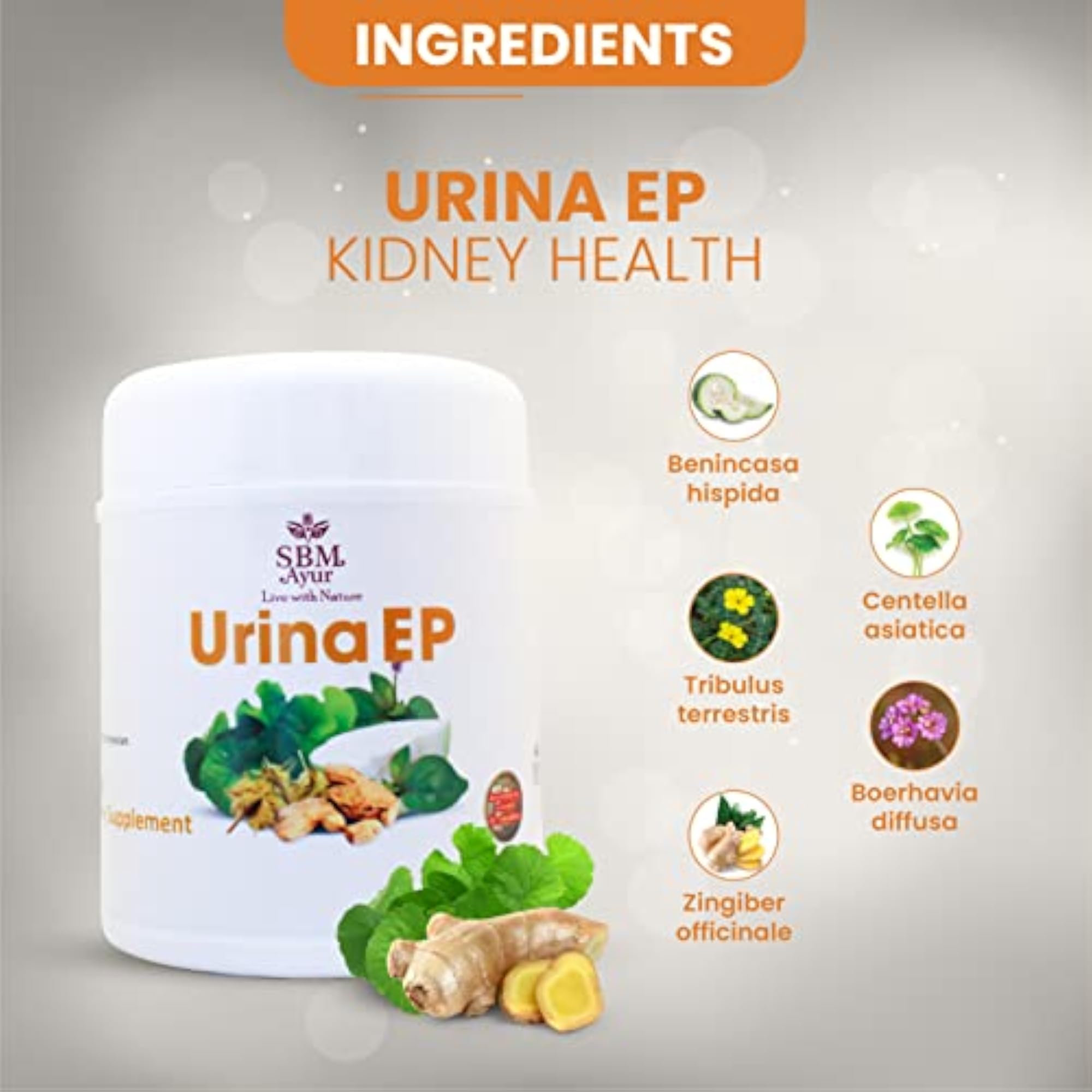 SBM URINA EP