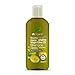 Produktbild Dr. Organic Haarshampoo Virgin Olive Oil 265 ml, Preis/100 ml: 3.01 EUR