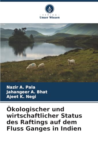 Ökologischer und wirtschaftlicher Status des Ra... [German] 620849513X Book Cover