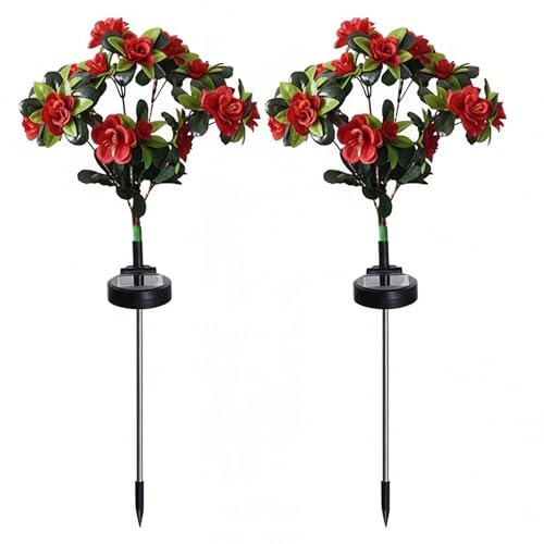 Fleurs funéraires pour cimetière : duo d'azalées solaires pour éclairer vos souvenirs