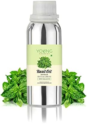 Young Chemist Pure Basil Essential Oil - 250ml | Bulk, Therapeutic Grade for Aromatherapy, Skin Care, Hair Growth | Natural Remedy for Calm & Comfort