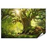 Nos affiches sont imprimées en qualité supérieure et sont disponibles en différentes tailles pour s'adapter parfaitement à vos pièces. Que vous souhaitiez décorer votre salon, votre chambre, votre bureau ou tout autre endroit, nos affiches sont le choix idéal.