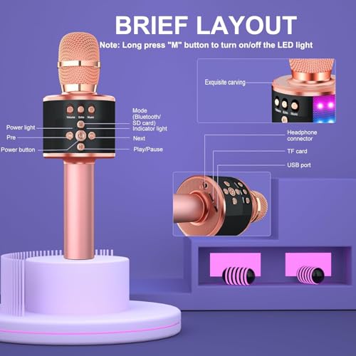 Image of BlueFire Wireless Karaoke Mic with Speaker | Portable Bluetooth Microphone with Music Sync LED Lights, 5 Magic Voice Effects & Echo | Handheld Mike for Kids & Adults with 2000mAh Battery