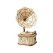 BW-King 3D Puzzle en Bois Horloge Modèle Bricolage à La Main en Bois Modèle De Transmission Mécanique Jouet Temps Perpétuel Pendule Horloge Pièce Jeunesse pour Créer Anniversaire-D