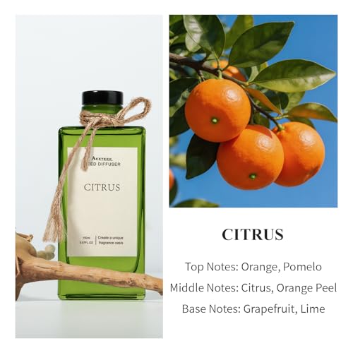 Ambientador Citrus con varillas y hojas de eucalipto 150ml miniatura 2