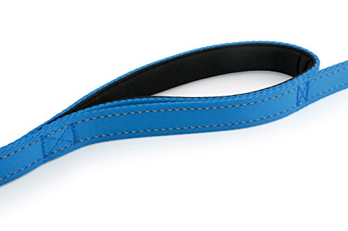 Primal Pet Gear Dog Leash 8Ft Long - Blue - Traffic Padded Two Handle - Heavy Duty - Double Handles Lead For Control Safety Training - Leashes For Large Dogs Or Medium Dogs - Dual Handles Leads #TOP4
