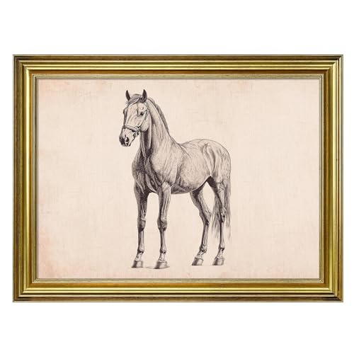 VIOLABBEY Framed Horse Wall Art, Gold Framed Vintage Horse Drawing Canvas Print, Equestrian Wall Decor for Living Room Bedroom Office, 12x16 inch