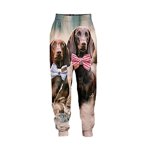 Pantalon teckel 3D décontracté grande taille 4XL confortable